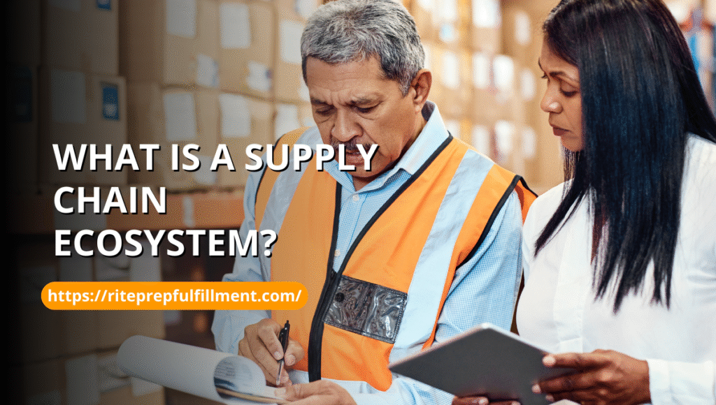 What is a Supply Chain EcoSystem